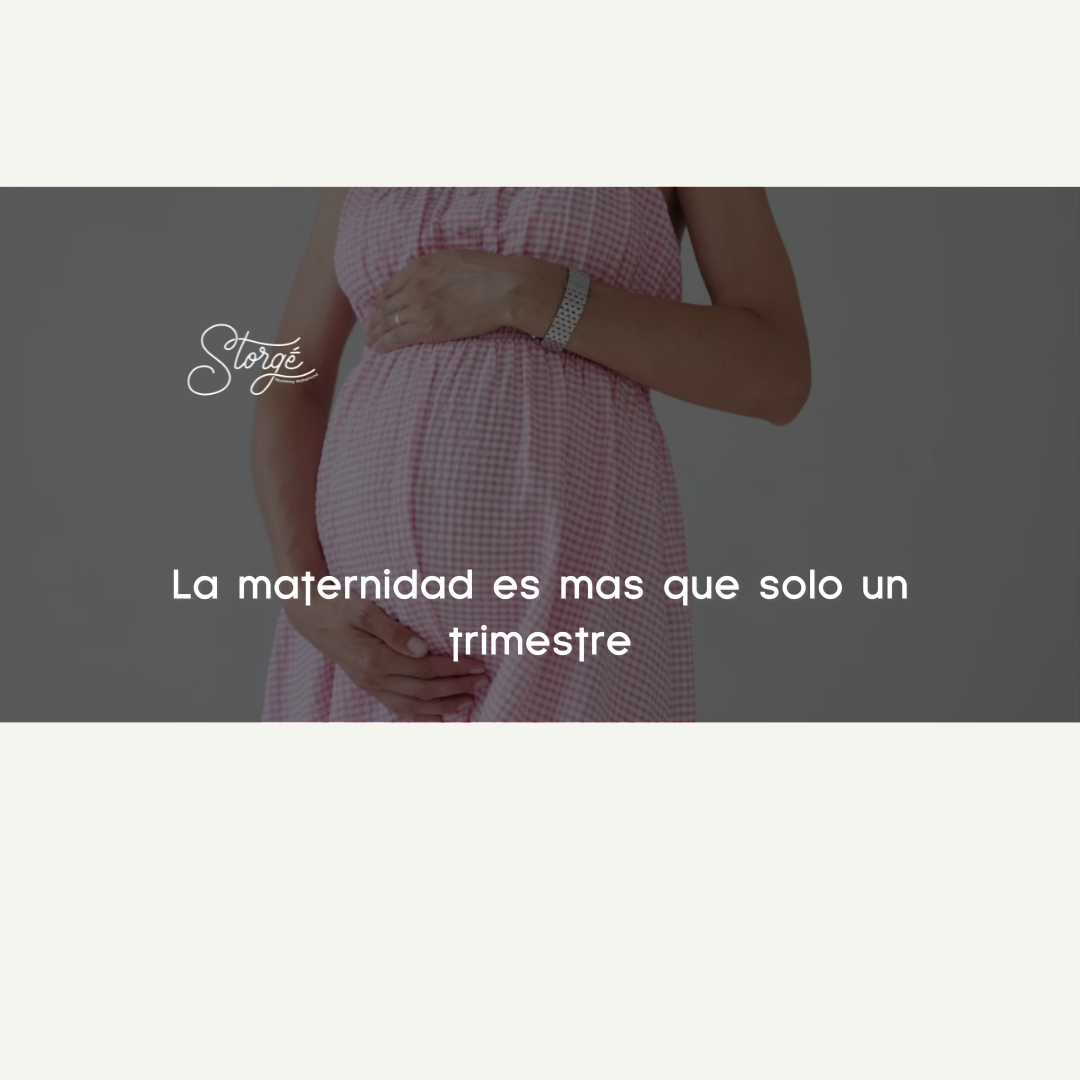La maternidad es mas que solo un trimestre