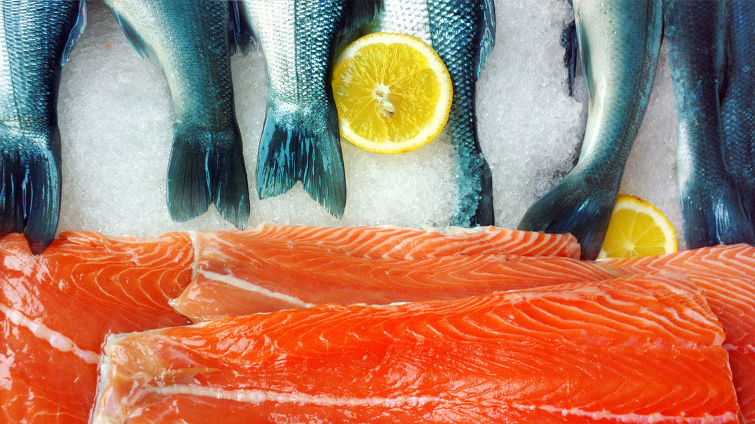 Los 12 mejores tipos de pescado para comer