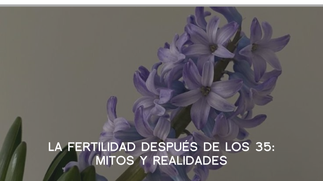 La fertilidad despues de los 35: mItos y realidades