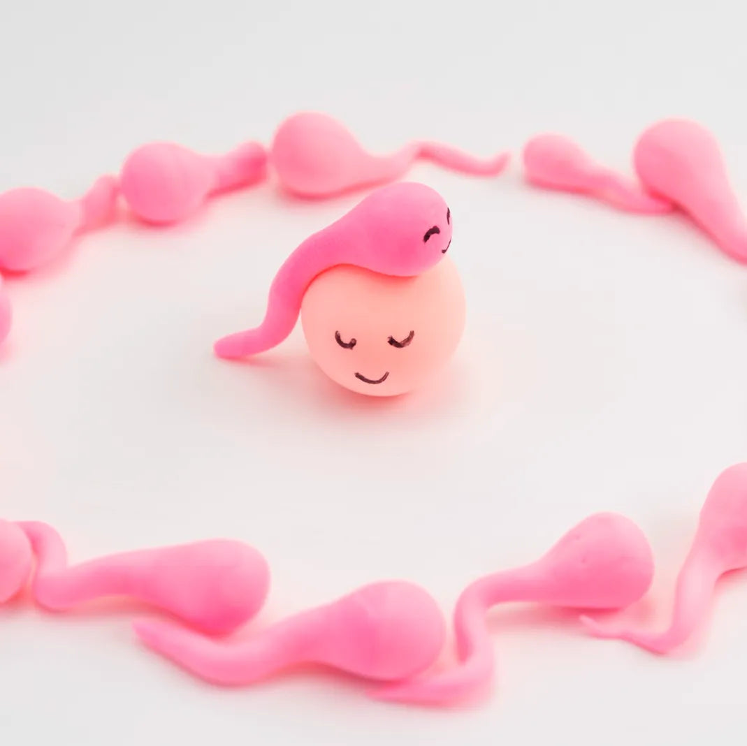 Fertility concept illustration with sperm cells surrounding egg, conception and pregnancy planning theme